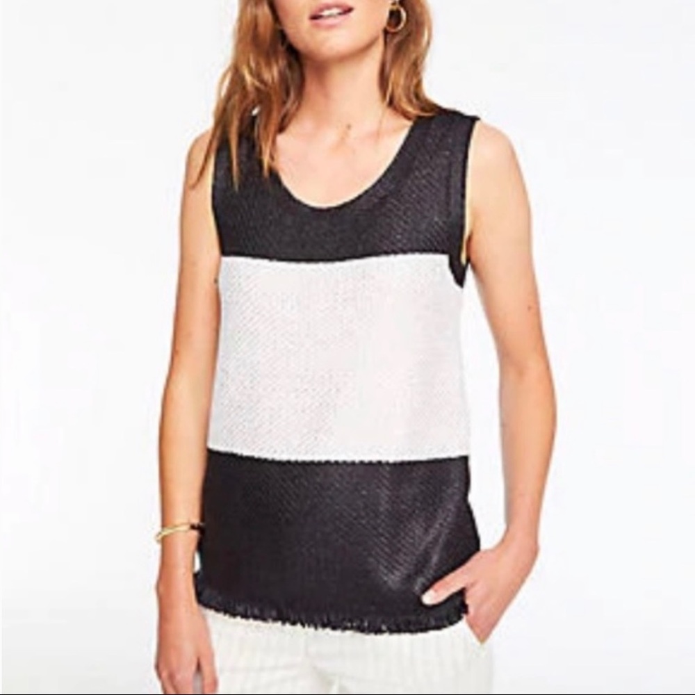ANN TAYLOR - Color Block Fringe Knit Top